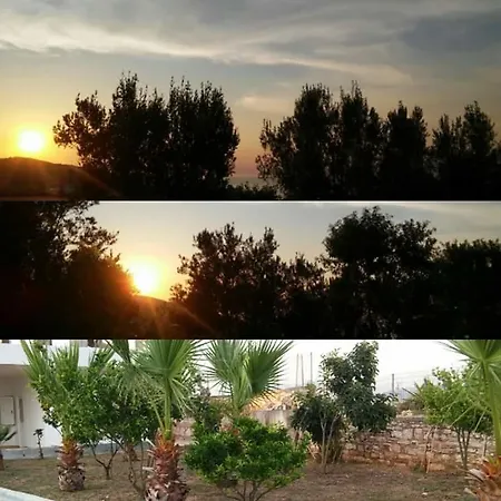 Vila Bashkimi דירה
