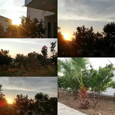Vila Bashkimi